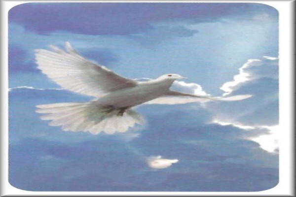 Abel Funeral Services