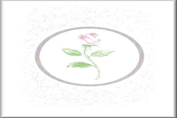 Abel Funeral Services