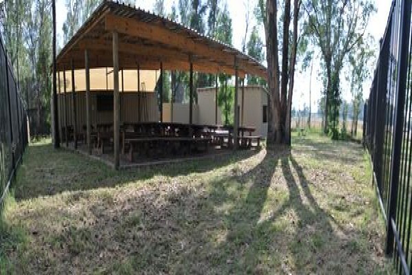 Pro-Ball Paintball Games
