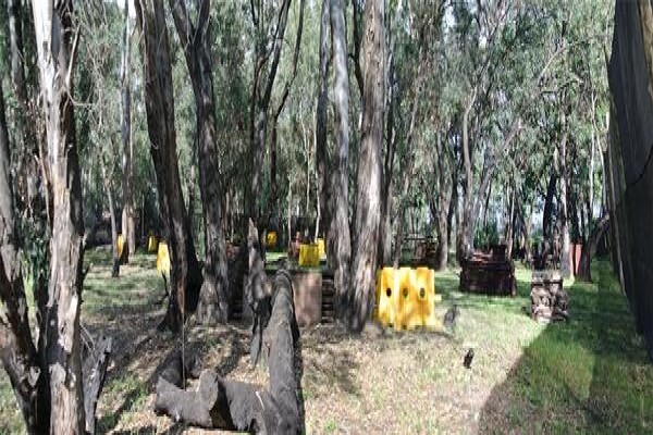 Pro-Ball Paintball Games