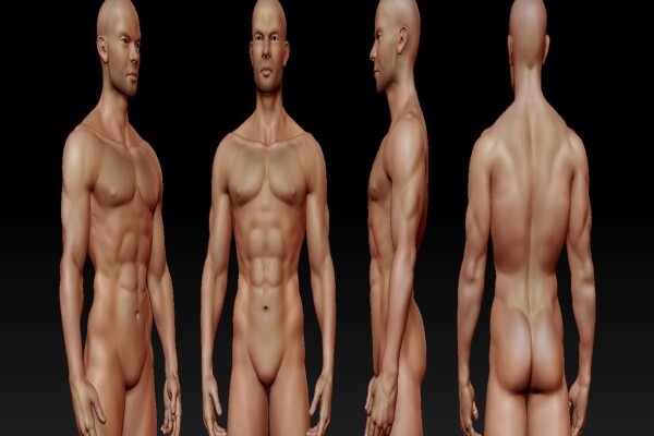 Learn 3D
