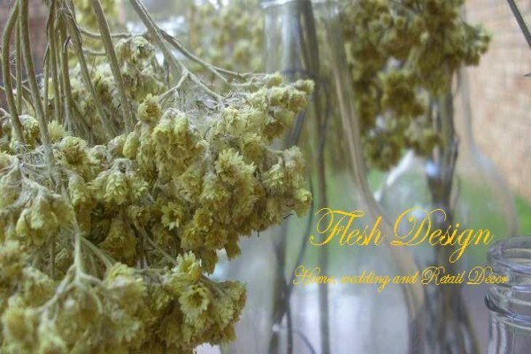 Flesh Design