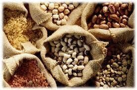 Globex Commodity Trading (Pty) Ltd
