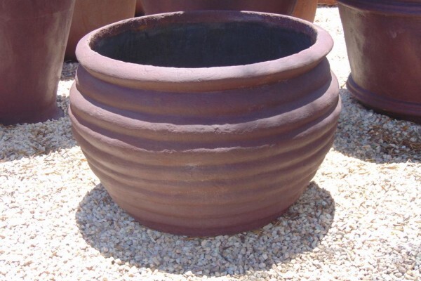 Nicolas Plants