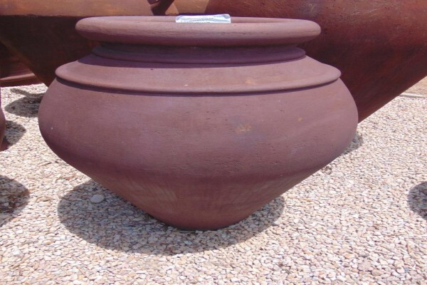 Nicolas Plants