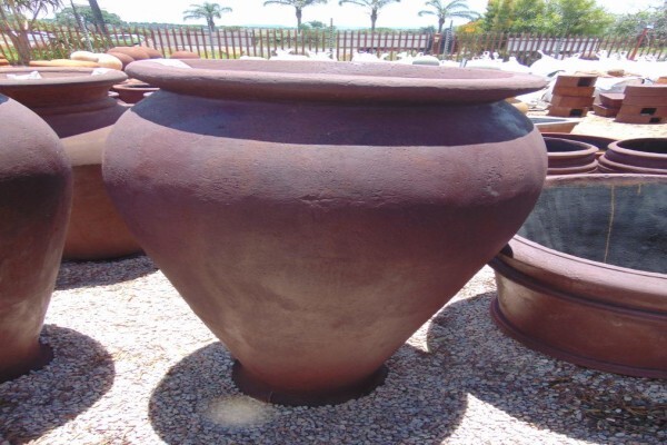 Nicolas Plants