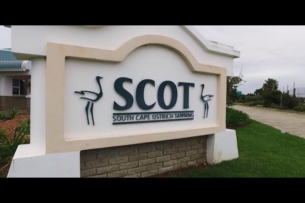 Scot