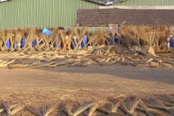 Thatch Gazebos
