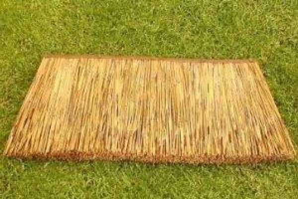 Thatch Gazebos