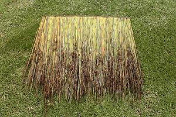 Thatch Gazebos
