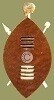 Earth Africa Curio