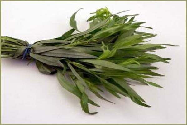 Highland Essential Oils
