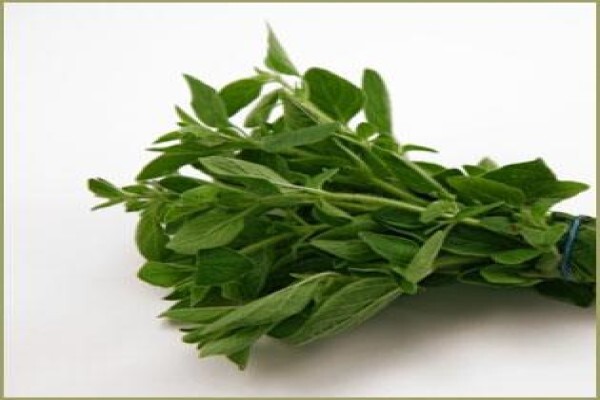 Highland Essential Oils
