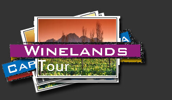 Savvy Tours