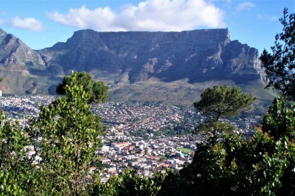 All Cape Tours