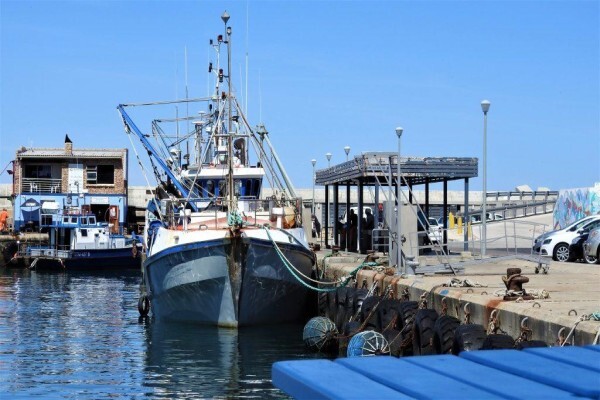 All Cape Tours