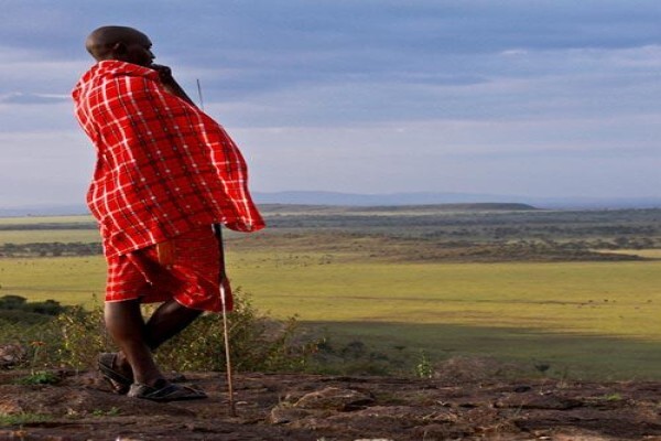 Capescout