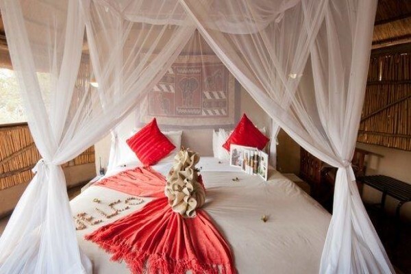 E C A Travel & Tours