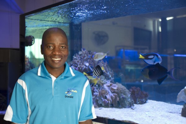 Dorry Pets