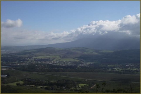 Csi Africa - Security Services