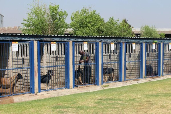 Good Dog Security Services Cc