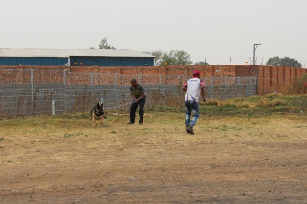 Good Dog Security Services Cc