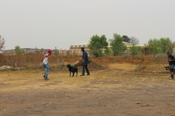 Good Dog Security Services Cc