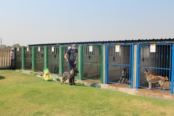 Good Dog Security Services Cc