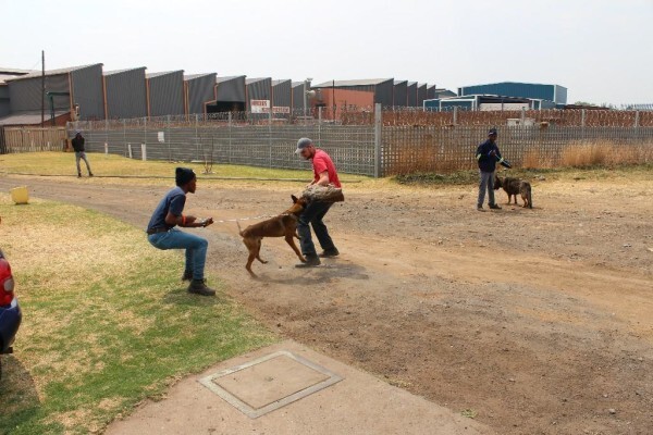 Good Dog Security Services Cc