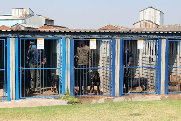 Good Dog Security Services Cc