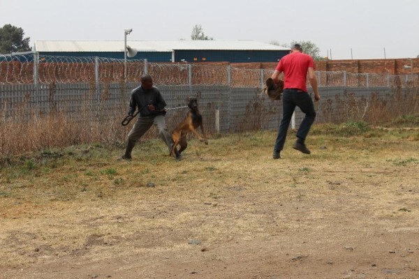 Good Dog Security Services Cc