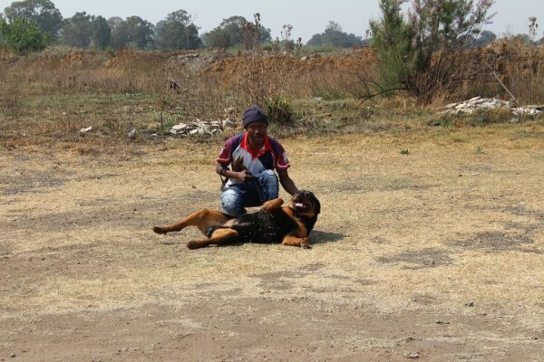 Good Dog Security Services Cc