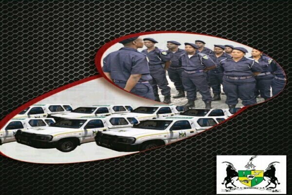 Armed Security International