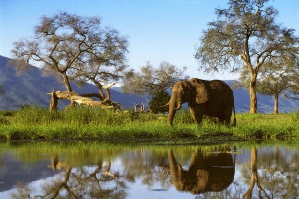 New Zimbabwe