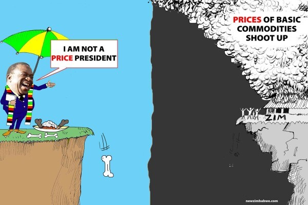 New Zimbabwe