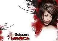 Scissors And Bleach