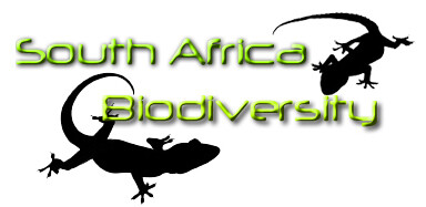 South African Biodiversity Media