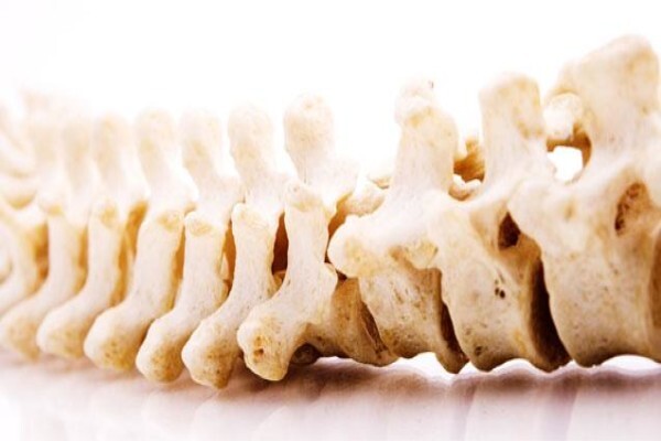 Dr. Lara Cawood- Chiropractor