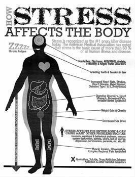 Body Stress Release For Renewed Life