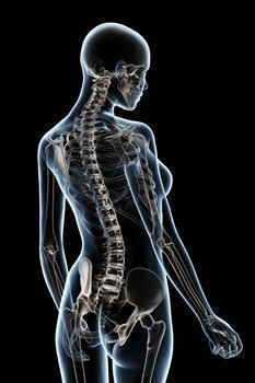 Vertebrae Chiropractic And Wellness Centre