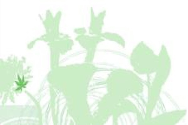 Body Stress Release For Renewed Life
