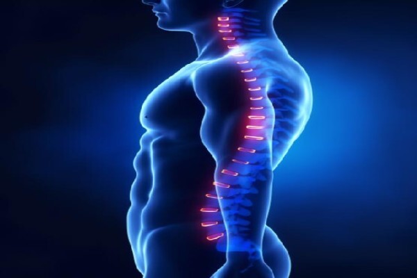 Chiropractor Sandton Sandown Dr Julia Meyer