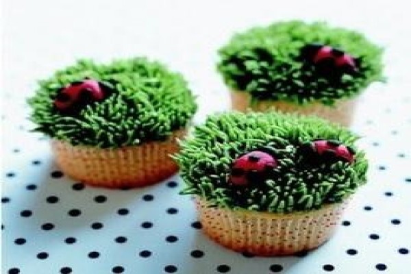 Sugar Wishes Cupcakes