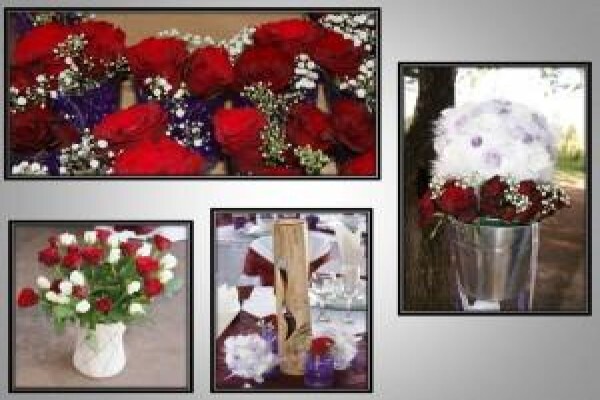 Exquisite Functions & Party Hire