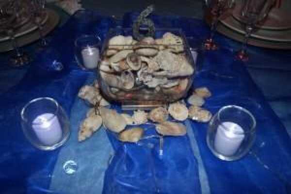 Exquisite Functions & Party Hire