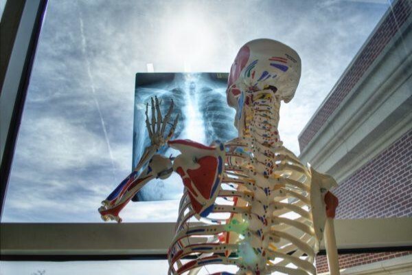 Atlantic Chiropractic Health Centre