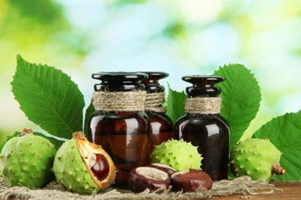 Dr Mande Scheepmaker Homeopath