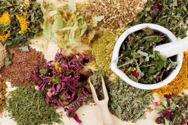 Dr Mande Scheepmaker Homeopath