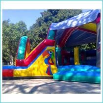 Jumpingtods Parties Cc