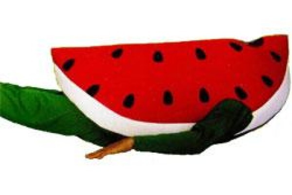 Kidsfancydress.Co.Za